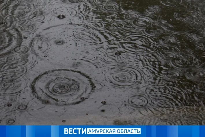 Дождь: прогноз погоды на 20 мая в Приамурье