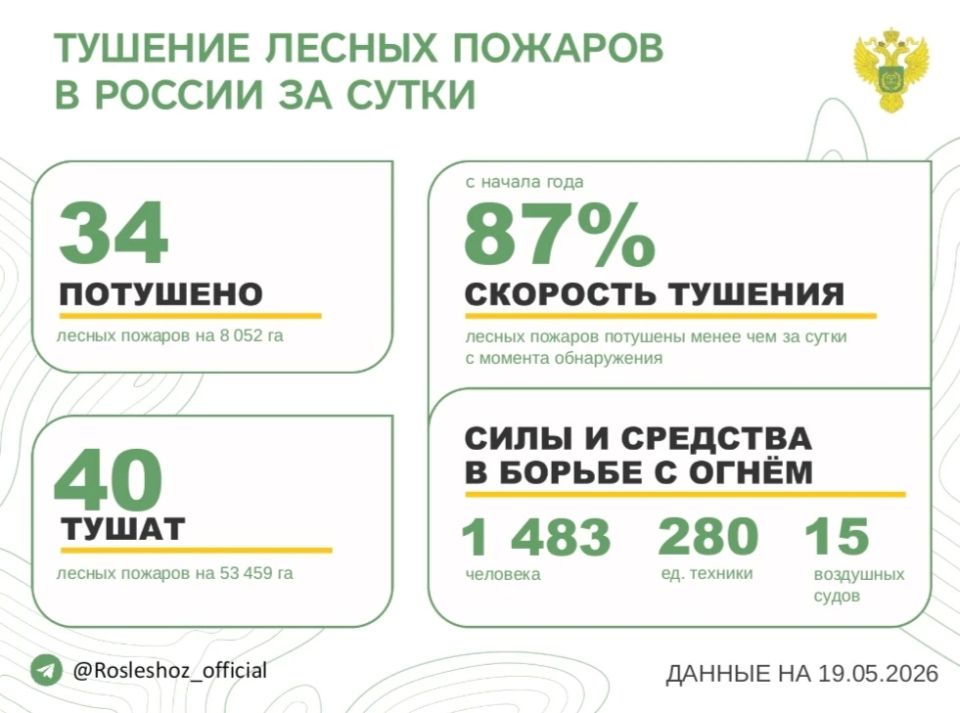 За прошедшие сутки в 21 регионе России потушили 34 лесных пожара