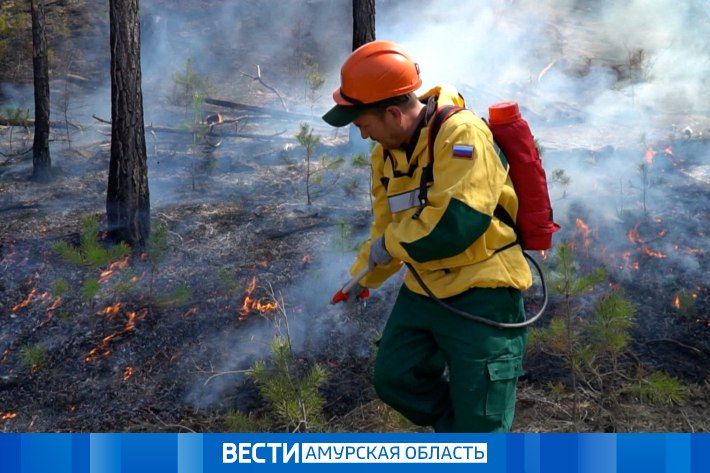Почти полсотни специалистов Авиалесоохраны дополнительно направят в область для стабилизации пожарной обстановки