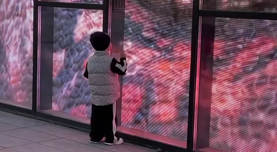 По фасаду амурского динопарка начали гулять древние обитатели приграничного региона