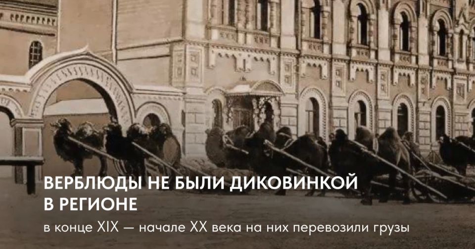 Бронзовые купец и верблюд появятся в сквере на Ленина — Святителя Иннокентия Бронзовые купец и верблюд появятся в сквере на Ленина — Святителя Иннокентия