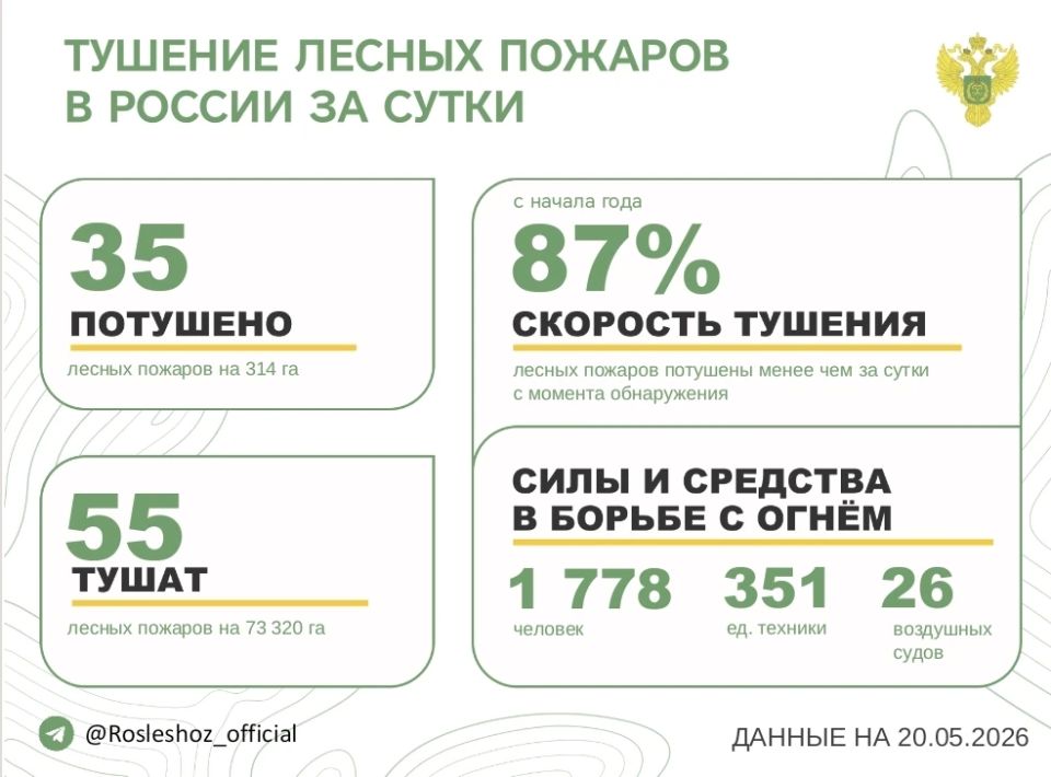 За прошедшие сутки в 23 регионах России потушили 35 лесных пожаров