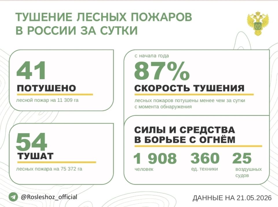 За прошедшие сутки в 23 регионах России потушили 41 лесной пожар