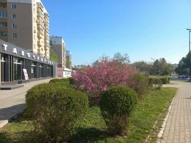 В Благовещенске планируют обновить территорию рядом с МФЦ, расположенную на улице 50 лет Октября между Ленина и Зейской В Благовещенске планируют обновить территорию рядом с МФЦ, расположенную на улице 50 лет Октября между Ленина и Зейской