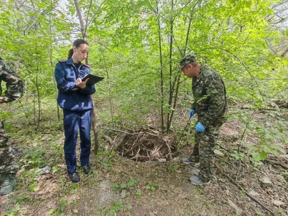 Обучающий семинар для следователей территориальных отделов СУ СК России по Амурской области Обучающий семинар для следователей территориальных отделов СУ СК России по Амурской области