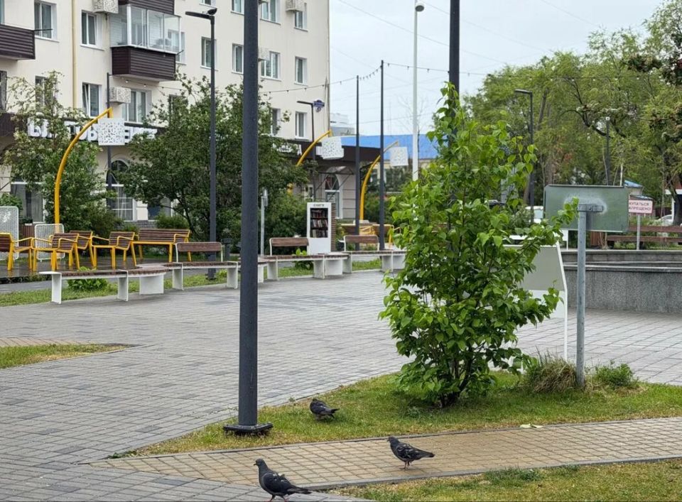 Мэр Благовещенска вместе с заместителями и руководителем ГСТК провел выездную проверку городских общественных пространств и улиц, чтобы оценить их состояние и содержание Мэр Благовещенска вместе с заместителями и руководителем ГСТК провел выездную проверку городских общественных пространств и улиц, чтобы оценить их состояние и содержание