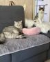 Максим и Марк встречают с нами это воскресное утро