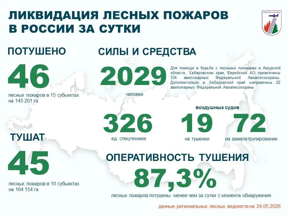 За прошедшие сутки в России потушено 46 лесных пожаров в 15 регионах