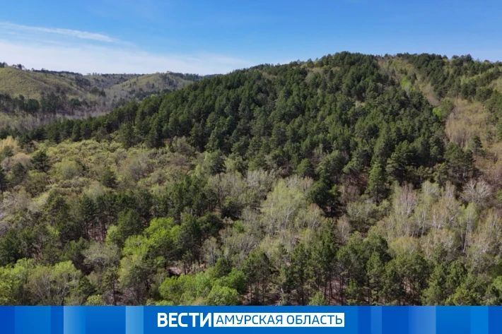 Неприятный сюрприз от майской погоды: температура в регионе опустится до -2 °С
