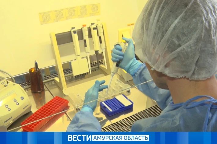 Осторожно, клещи: в Приамурье у 12 членистоногих нашли боррелиоз