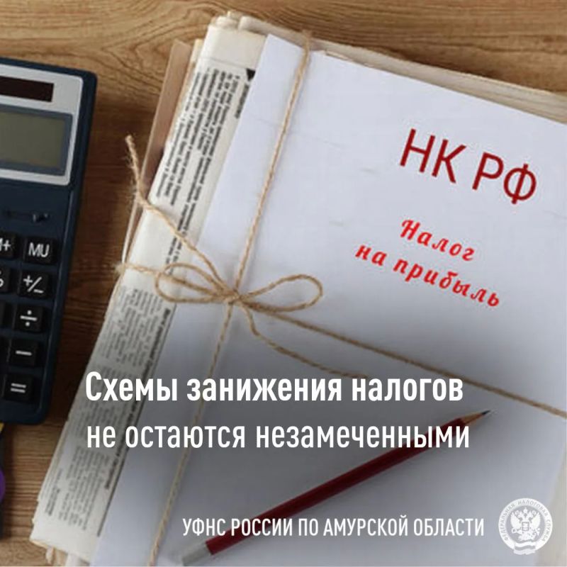 УФНС Амурской области скорректировала схемы занижения налогов