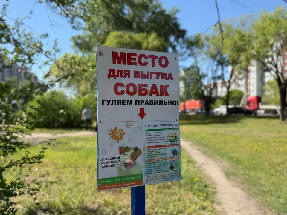 Современная площадка для выгула и дрессировки собак появится в Благовещенске Современная площадка для выгула и дрессировки собак появится в Благовещенске