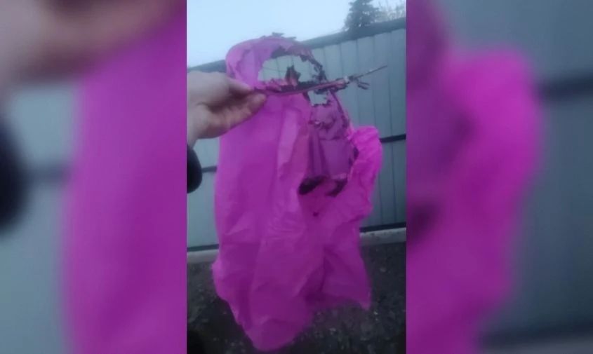 Падал прямо на дрова: небесный фонарик чуть не стал причиной пожара в Свободном