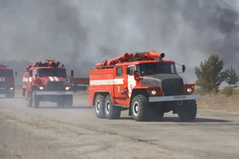 95 пожаров зарегистрировано с начала весны на землях лесного фонда Приамурья