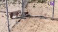 ������� �������� ������ ��������� �� �������� ������� � ��������� � ������ ��� ��������� � ������ ������������ ����������