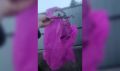 Падал прямо на дрова: небесный фонарик чуть не стал причиной пожара в Свободном