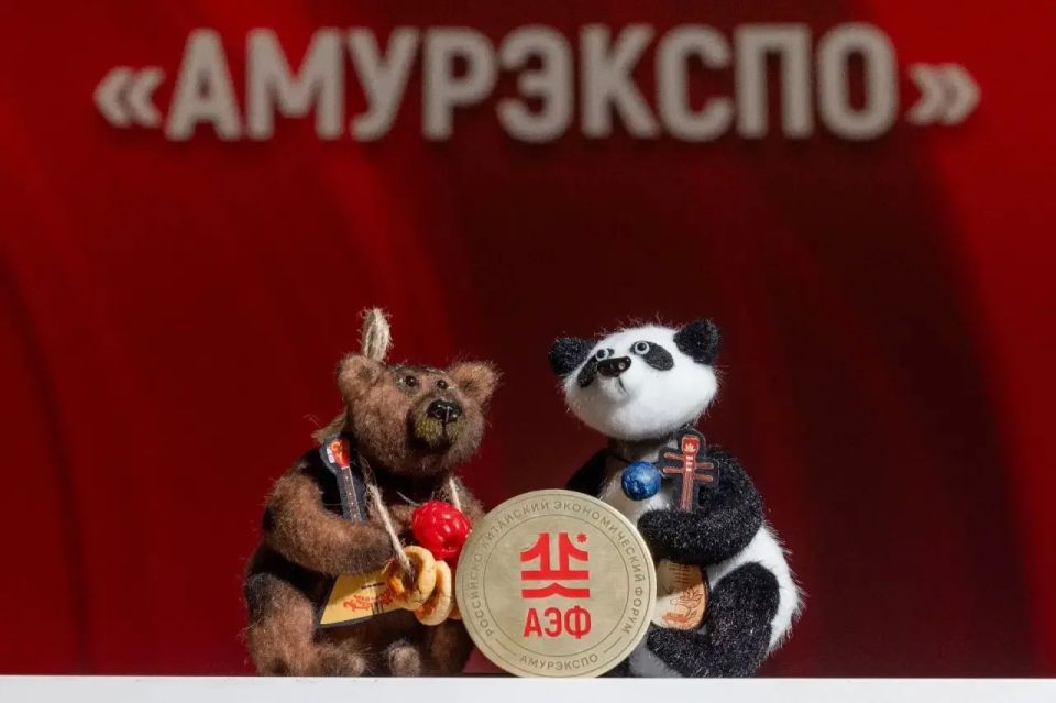 Василий Орлов: За четыре дня Российско-китайского экономического форума «АмурЭкспо-2026» прошло более 100 мероприятий регионального и федерального уровней Василий Орлов: За четыре дня Российско-китайского экономического форума «АмурЭкспо-2026» прошло более 100 мероприятий регионального и федерального уровней