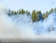 В Свердловской области ликвидировали все лесные пожары, которые действовали 18-29 мая на территории региона