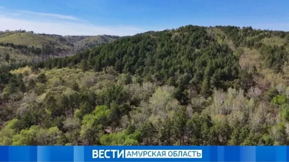 От заморозков до +35: последний день весны удивит амурчан