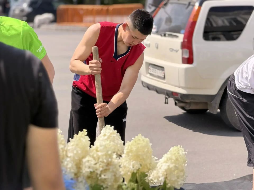 Более полутысячи уже цветущих белых гортензий и почти восемь тысяч торений впервые высаживают в Благовещенске в воскресенье Более полутысячи уже цветущих белых гортензий и почти восемь тысяч торений впервые высаживают в Благовещенске в воскресенье