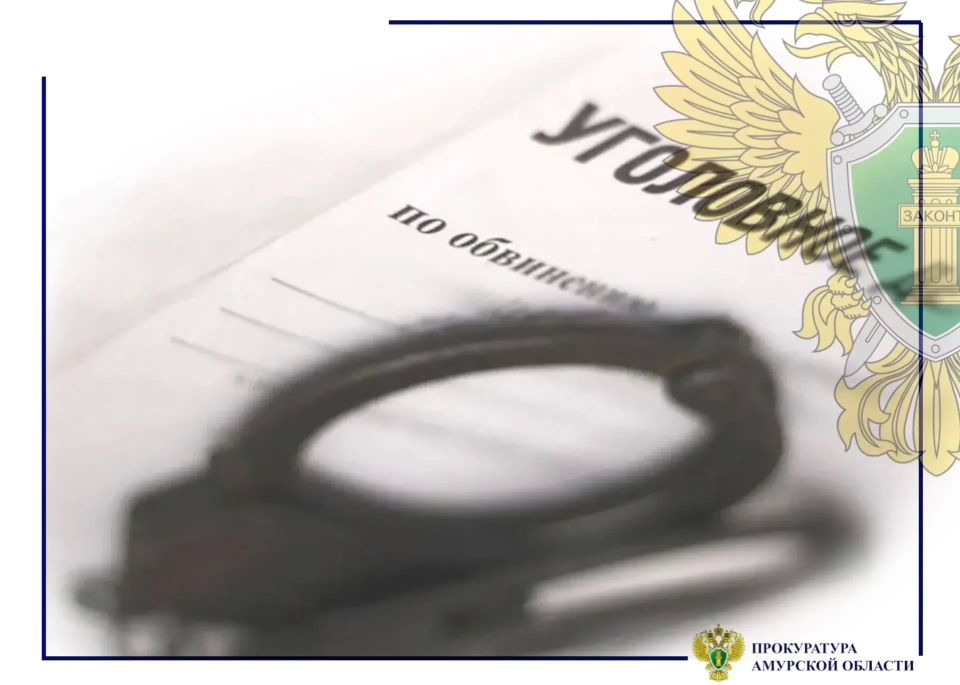В Архаринском муниципальном округе перед судом предстанет местный житель, лишивший своего брата зрения