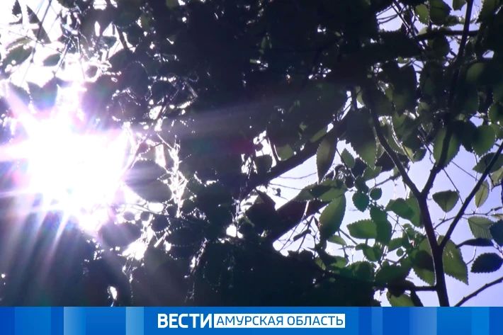 Осадки: прогноз погоды на 3 июня в Приамурье