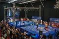 Амурские кикбоксеры показали свой уровень на Первенстве России