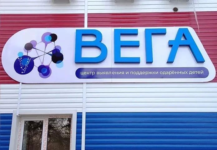 Бесплатные занятия с лучшими педагогами: амурский центр «Вега» объявил дату старта приёма заявок