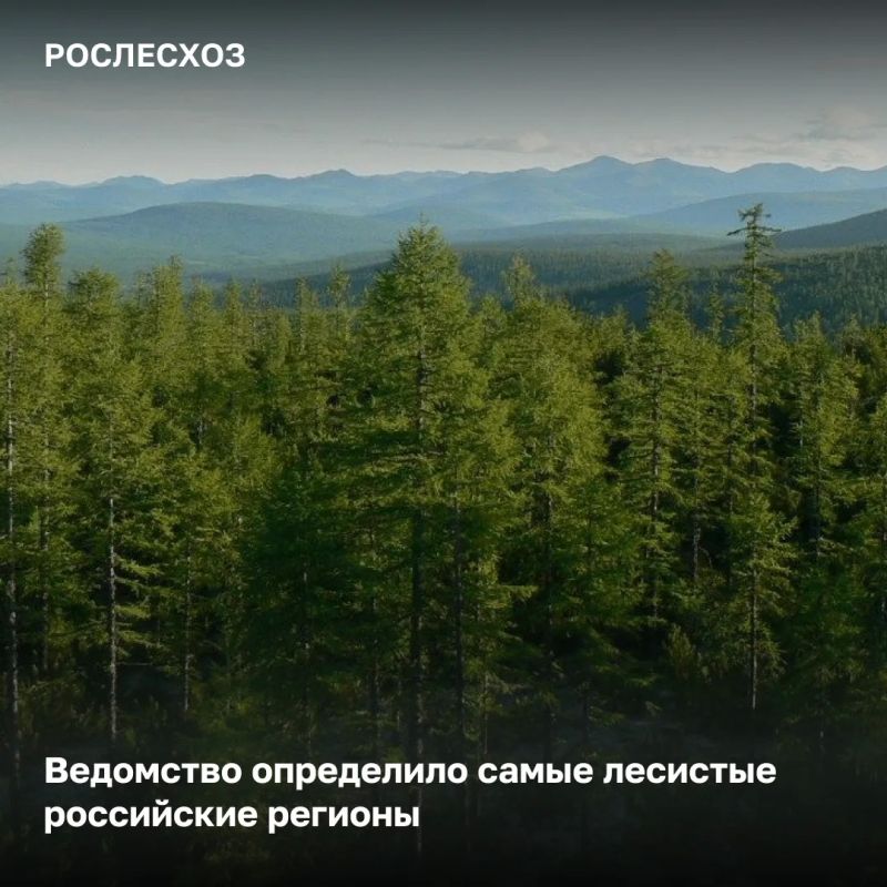 Среди лидеров по лесистости - регионы Дальнего Востока и Северо-Запада страны