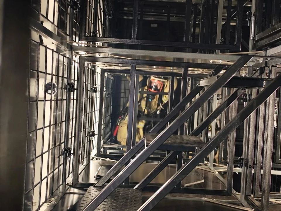 Экзамен, который принимает работодатель: 2183 амурских студента проходят проверку практикой