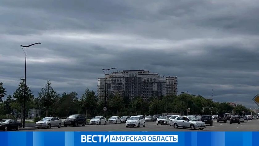 Дожди, грозы и туман: погода в Приамурье 8 июня
