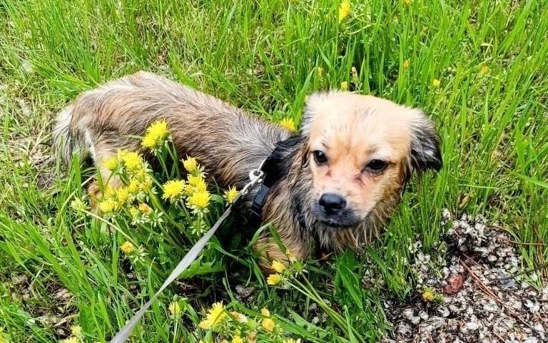 Погода в Амурской области на 9 июня