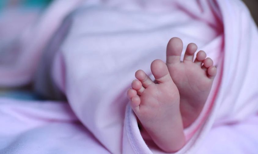 Оливия и Авилия родились на прошлой неделе в Приамурье