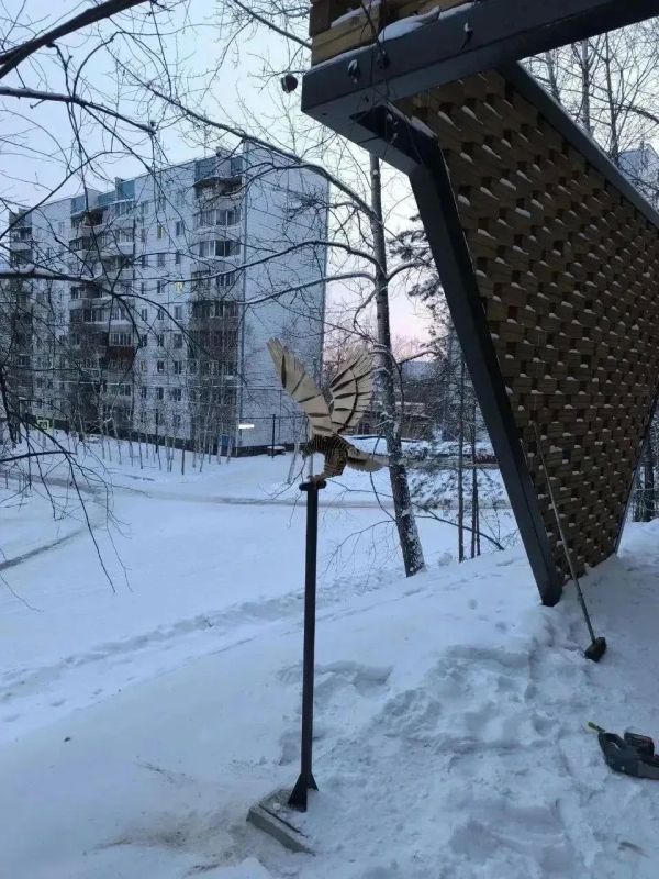 Кто украл орла?. В Тынде неизвестные похитили металлическую фигуру орла и сломали светильник Кто украл орла?. В Тынде неизвестные похитили металлическую фигуру орла и сломали светильник