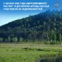 С начала 2026 года Амурский минлес расторг 14 договоров аренды лесных участков из-за задолженностей
