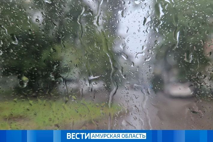 Осадки: прогноз погоды на 11 июня в Приамурье