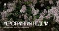 Танцы, стрельба из лука, игры и творчество — всё самое интересное уже в нашем расписании