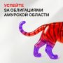 �������� ��������� �������� �������: ���������� � ������ ������ �������� �������