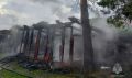 В амурском селе молния ударила в дерево и хозпостройку: вспыхнул пожар
