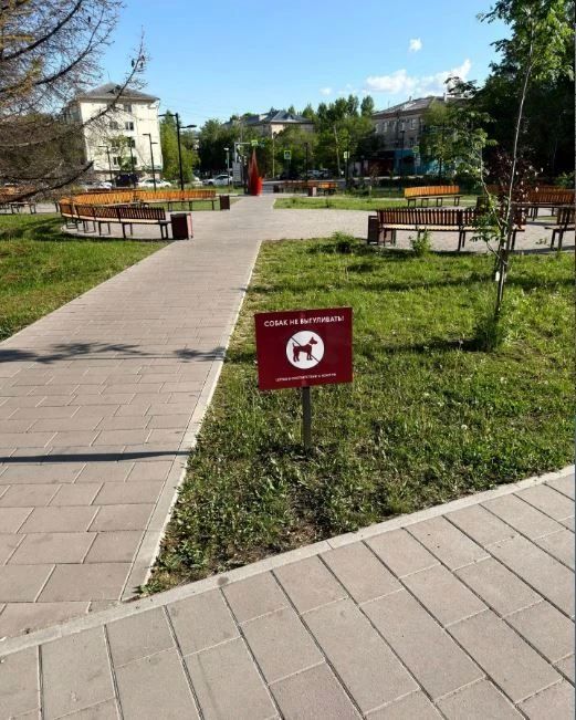 Сотрудники амурского управления ветеринарии продолжают проводить рейды в городских парках и зонах отдыха Сотрудники амурского управления ветеринарии продолжают проводить рейды в городских парках и зонах отдыха