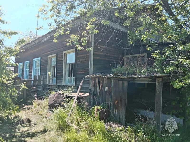 Снежногорские добровольцы на страже родного поселка Снежногорские добровольцы на страже родного поселка