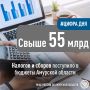 Более 55 млрд налогов и сборов поступило в бюджеты Амурской области с начала года