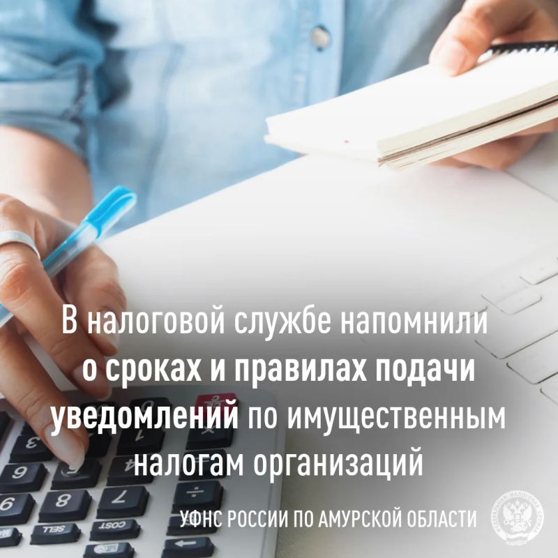 В налоговой службе напомнили о сроках и правилах подачи уведомлений по имущественным налогам организаций