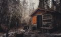 Как Пашка потерялся в родном лесу
