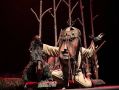Амурский театр кукол получил специальный приз фестиваля «Шомбай FEST»