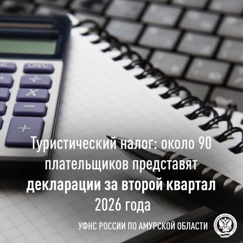 Туристический налог в Амурской области: налогоплательщики готовятся подать декларации за второй квартал 2026 года