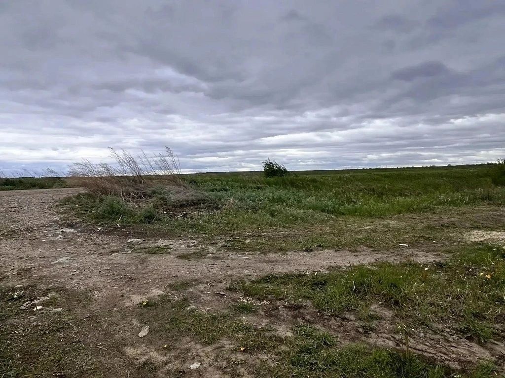 В Приамурье ликвидировали одну незаконную свалку на сельхозземлях и выявили три новые В Приамурье ликвидировали одну незаконную свалку на сельхозземлях и выявили три новые