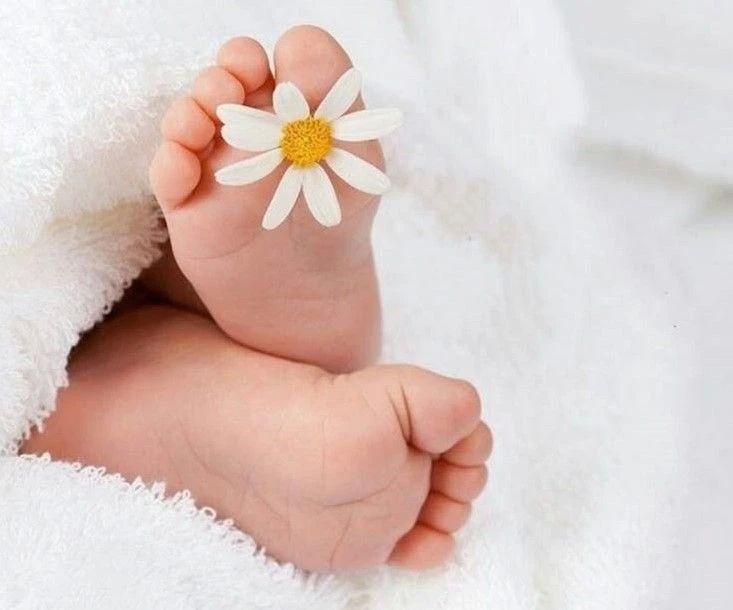 «Семья» в действии: амурские родители получают выплаты на первенца