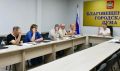 Трем безымянным территориям Благовещенска могут дать названия «Орион», «Лилия» и «Нефрит»