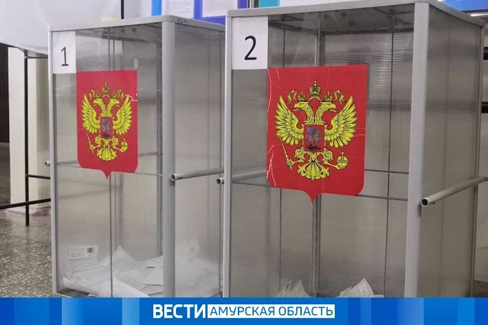 Осенние выборы в Приамурье: подготовка к Единому дню голосования набирает обороты